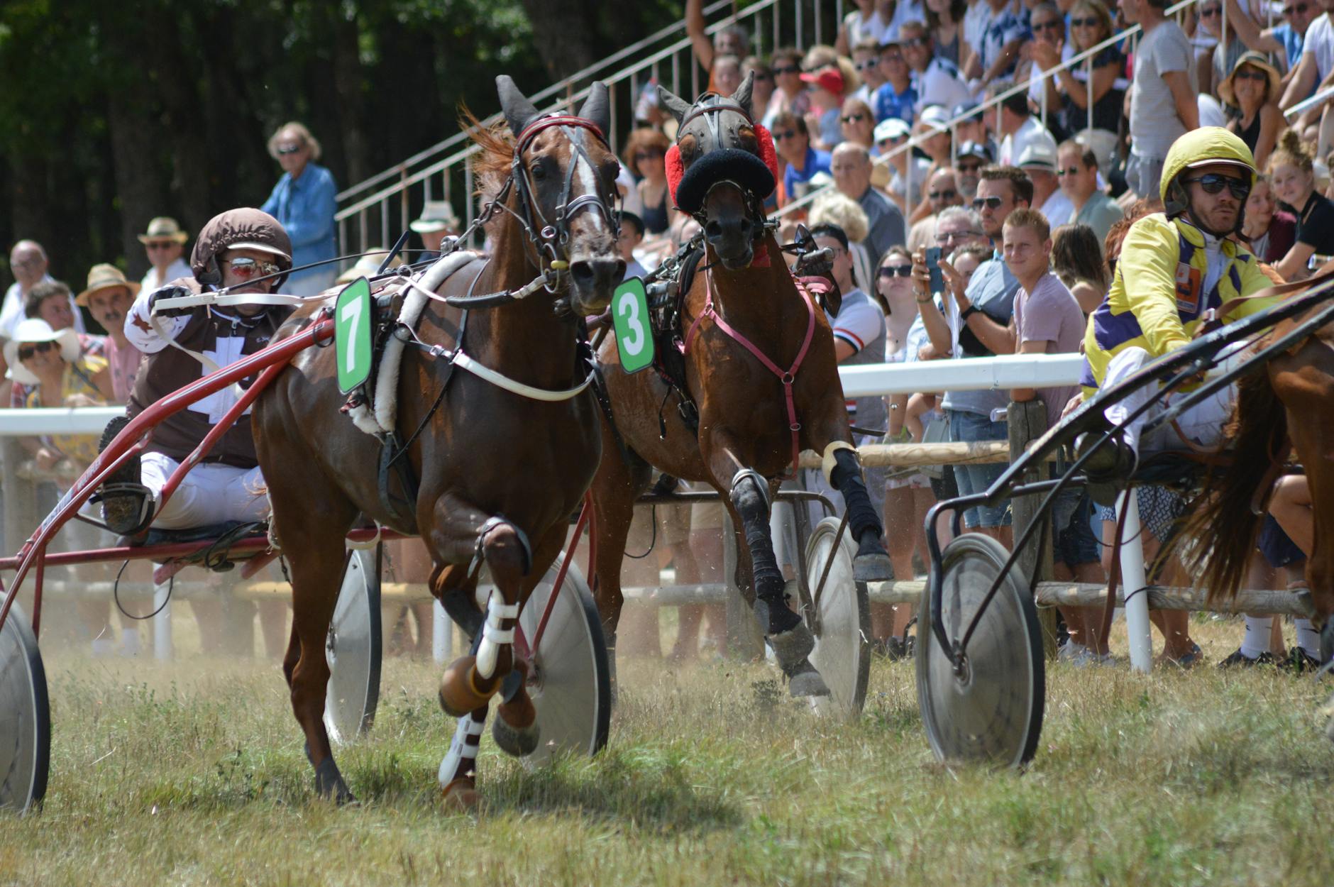 Spectators watching horses race past on a racecourse