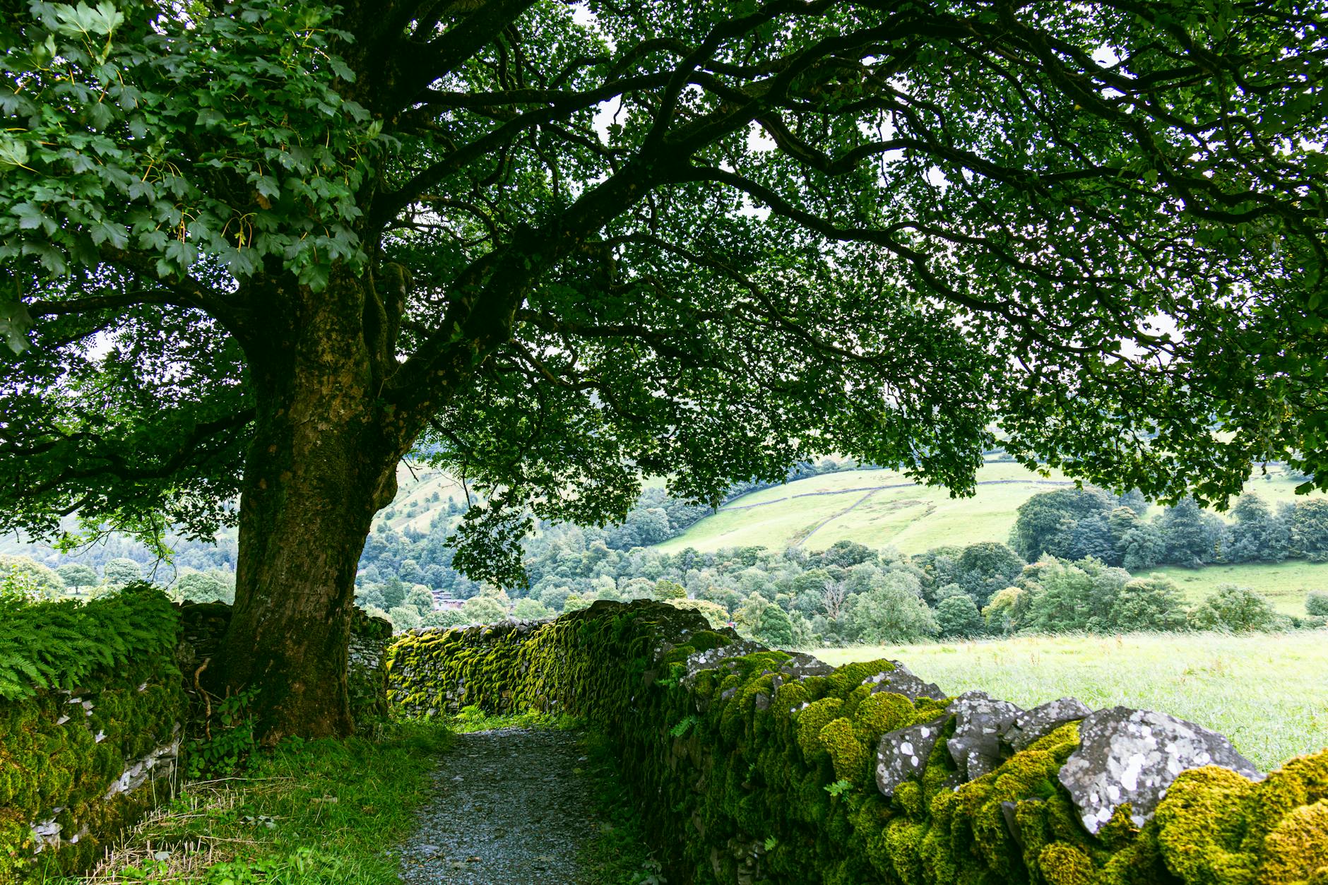 A traditional stone stile on a Cotswolds footpath crossing a dry stone wall