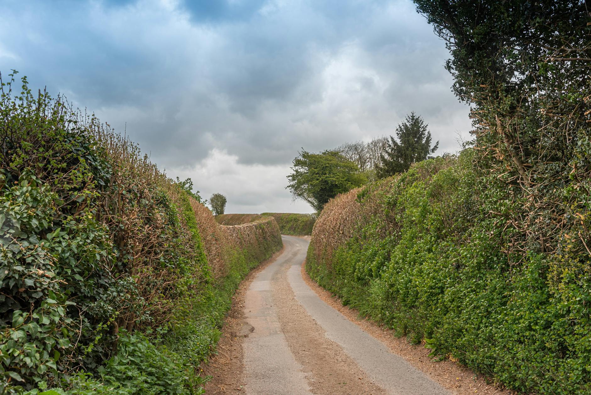 Cycling along a quiet country lane through the English countryside