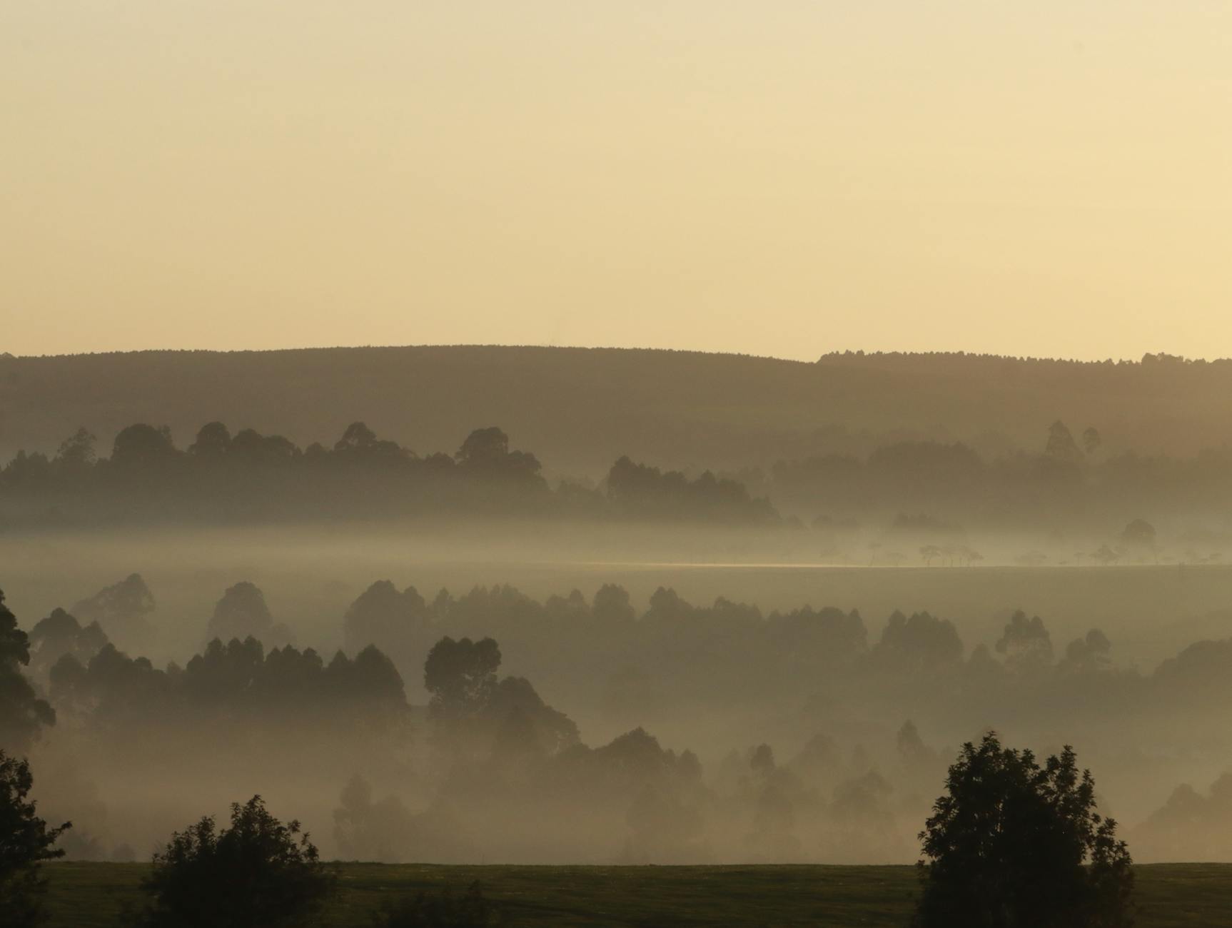 A misty sunrise over rolling countryside hills