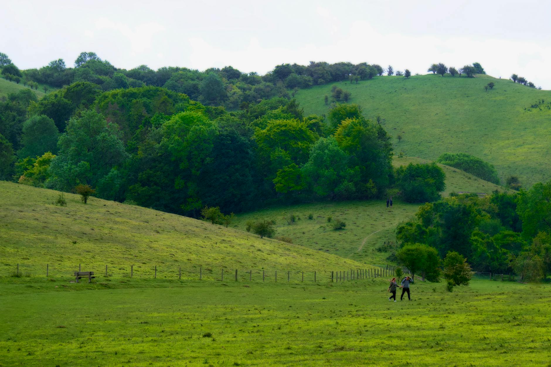 Walkers on a scenic trail through rolling green hills in the English countryside
