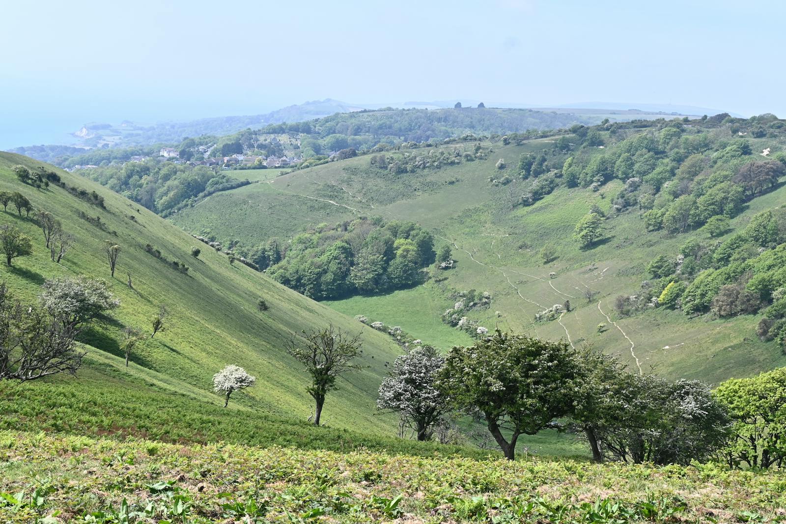 Rolling green hills and valleys of the Cotswold escarpment under a soft spring sky