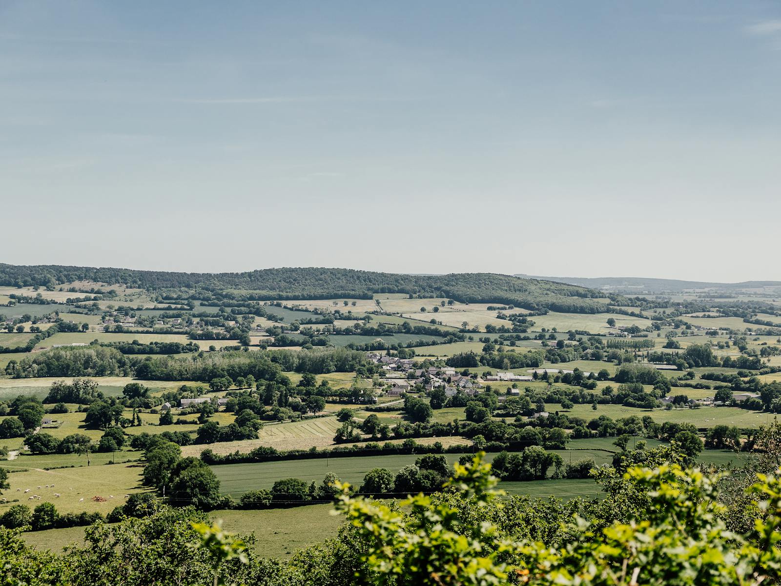 Gentle rolling green countryside under a bright spring sky