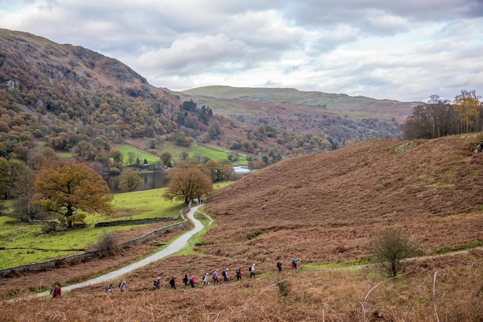 A group of hikers enjoying a trek through picturesque autumn countryside
