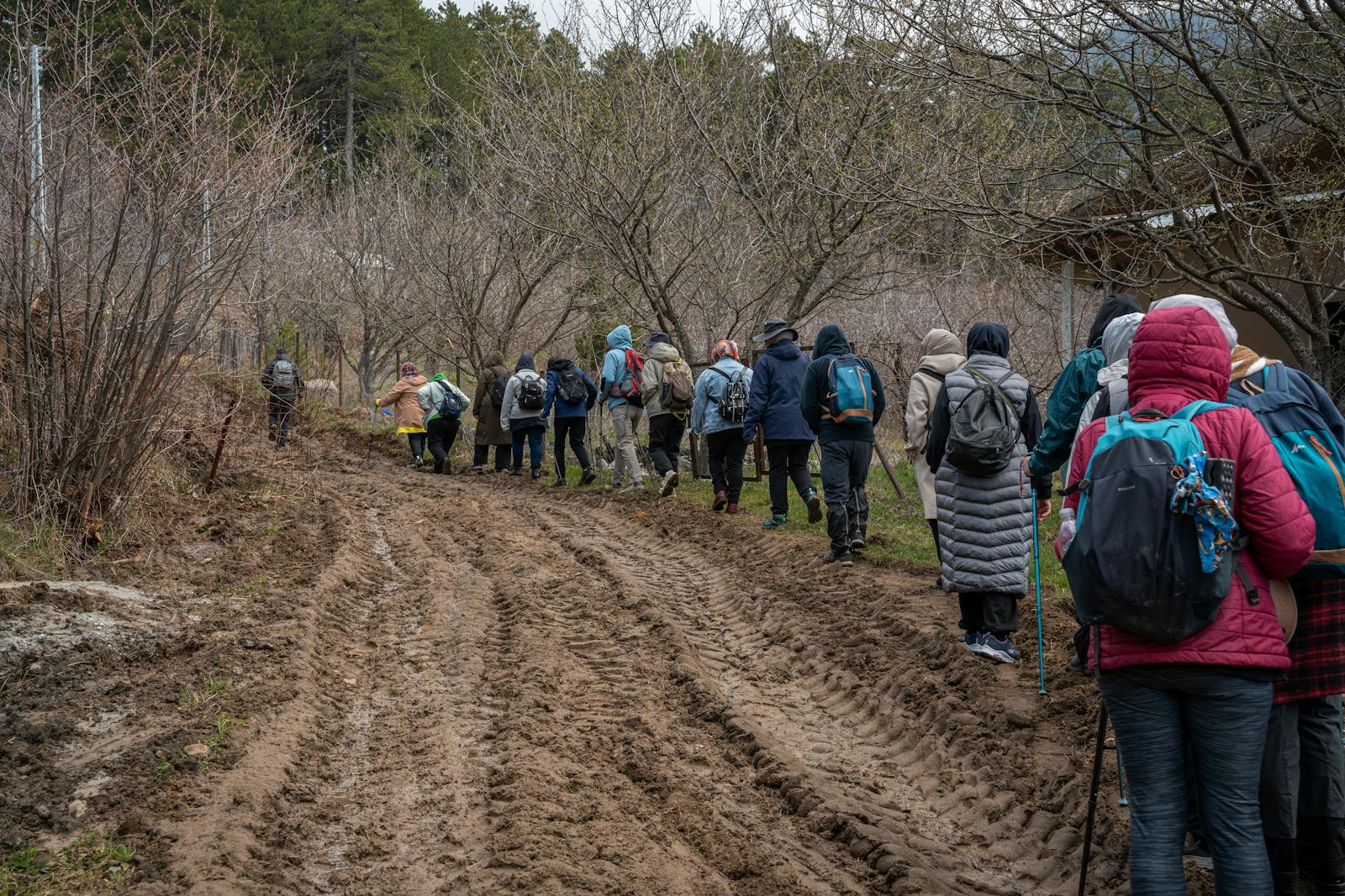 Hikers walking along a scenic trail in the Cotswold hills