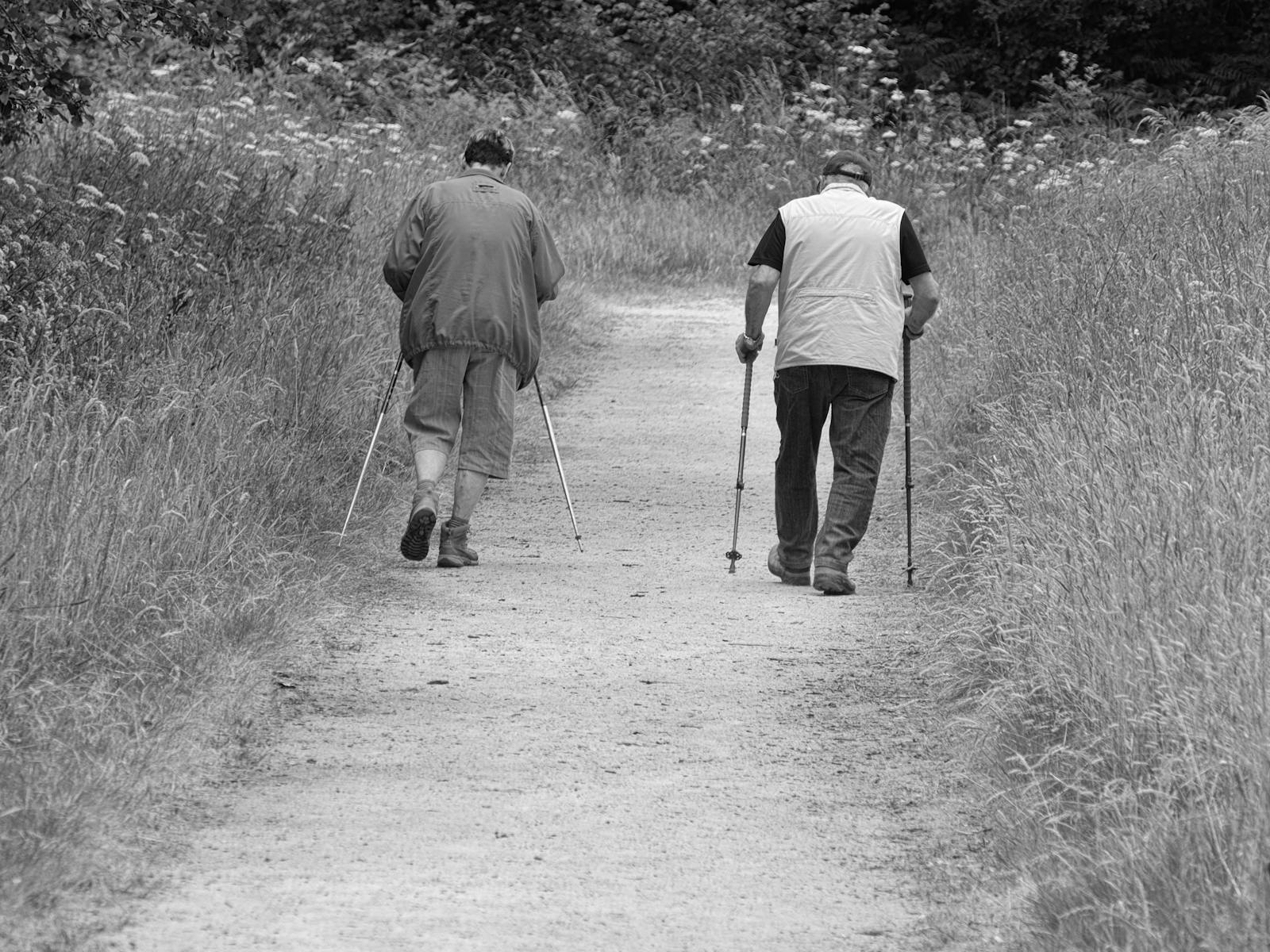 Two walkers with trekking poles on a rural countryside path