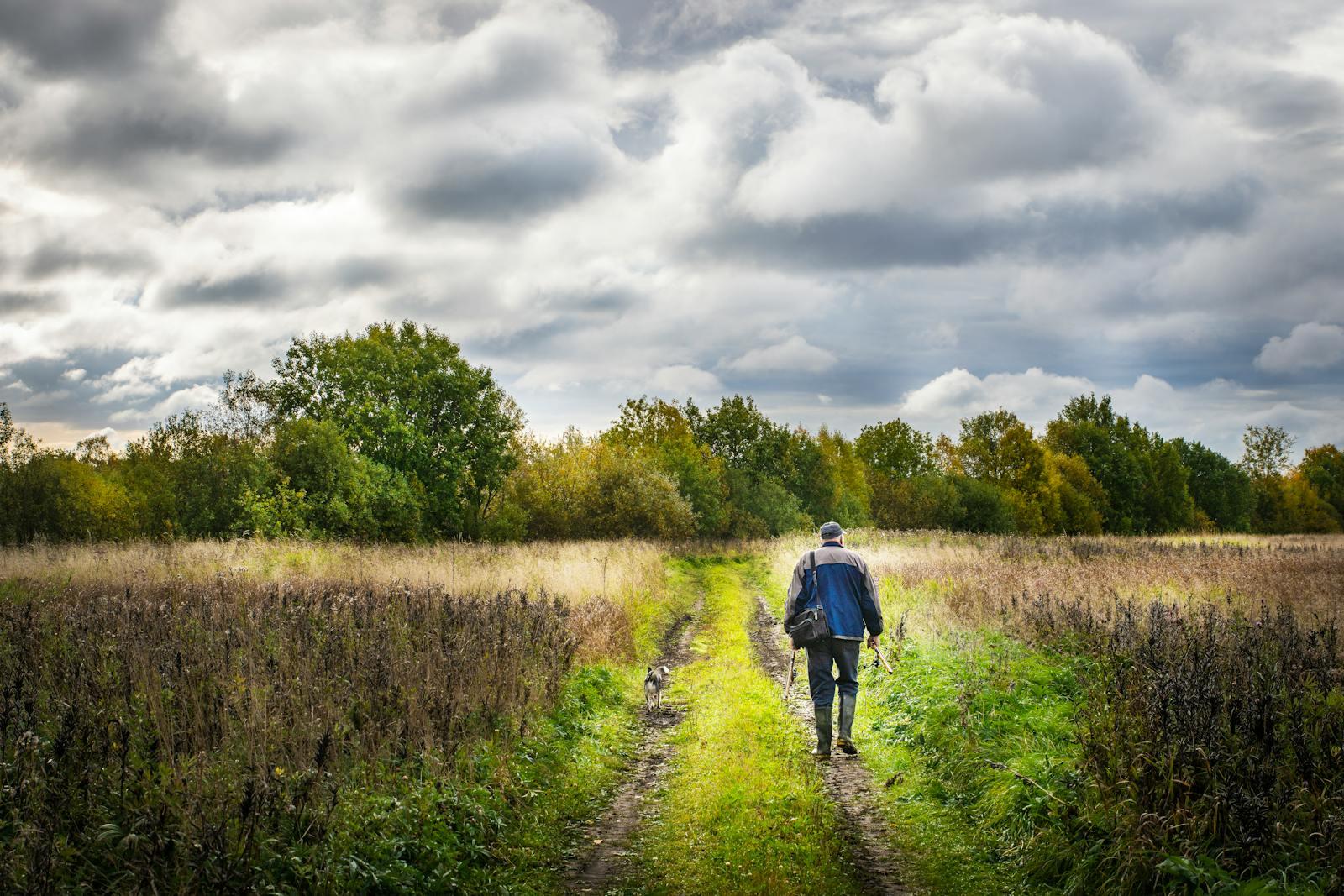 A countryside footpath leading through green fields in the Cotswolds