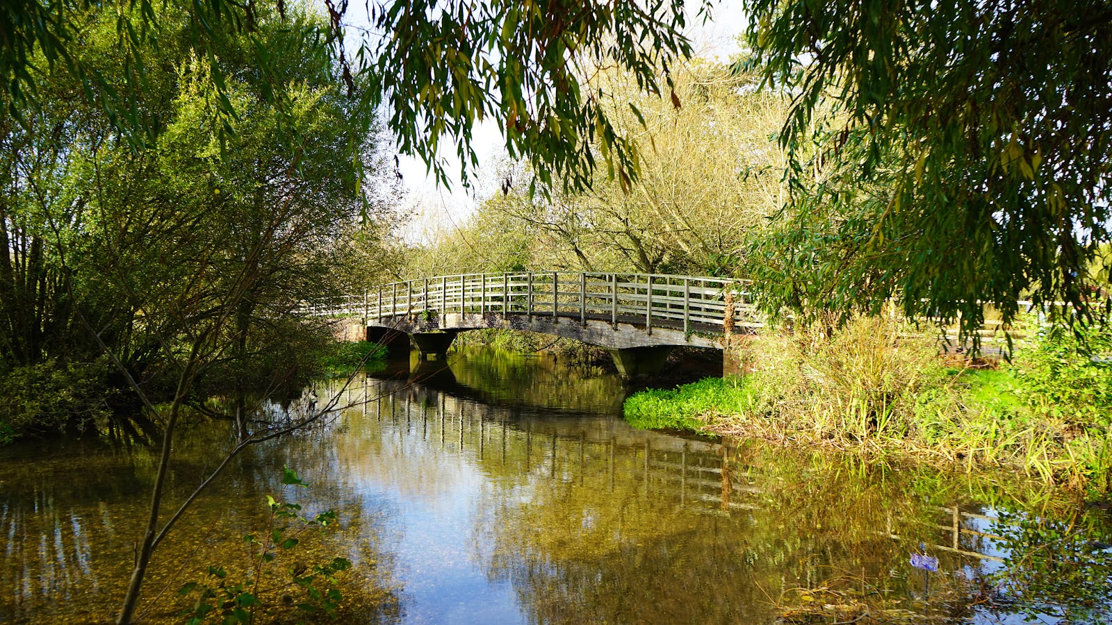 A wooden footbridge crossing a tranquil river in the English countryside