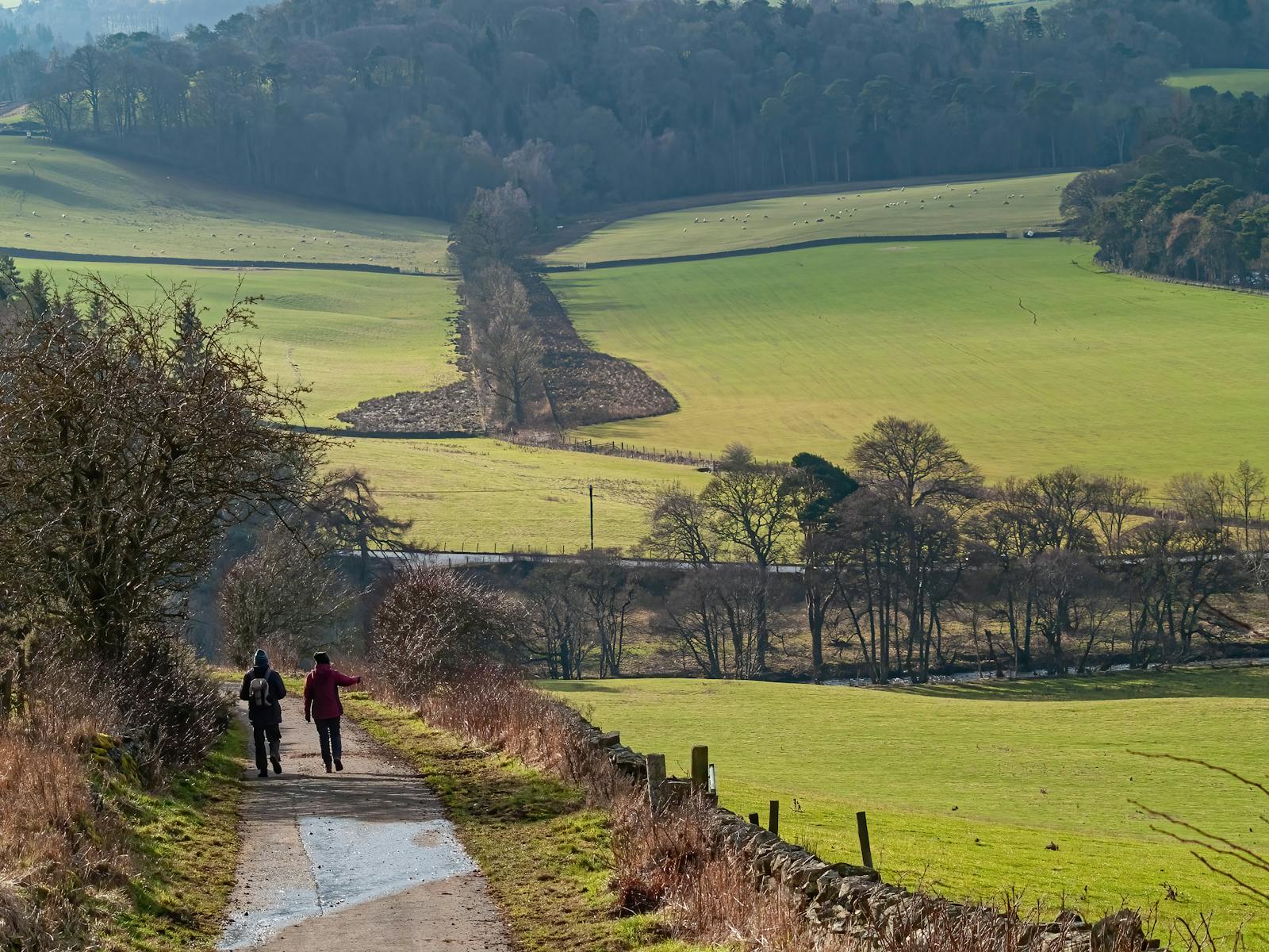 A walking trail winding through open Cotswold countryside on a sunny day