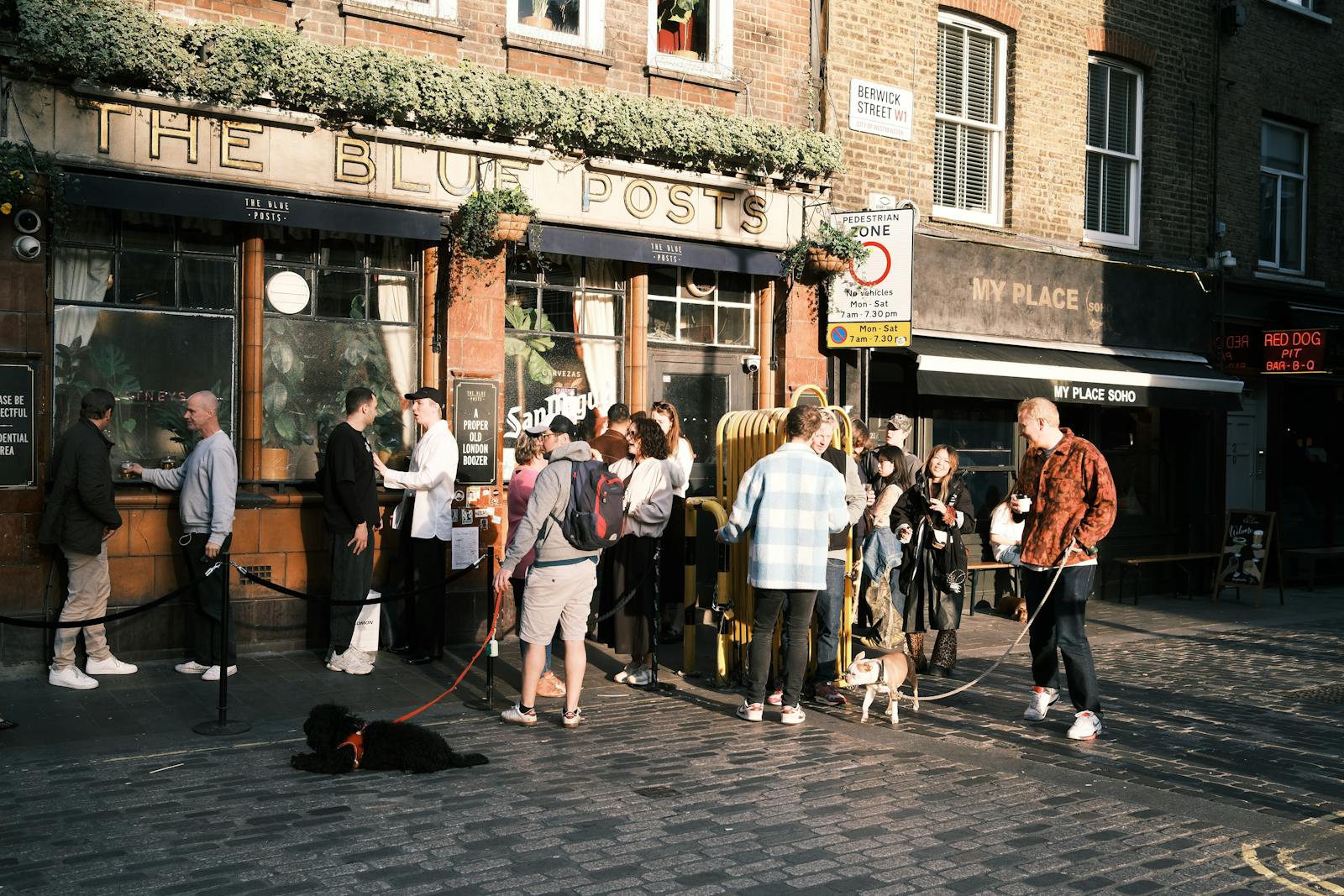 People and their dogs gathered outside a traditional pub on a sunny day
