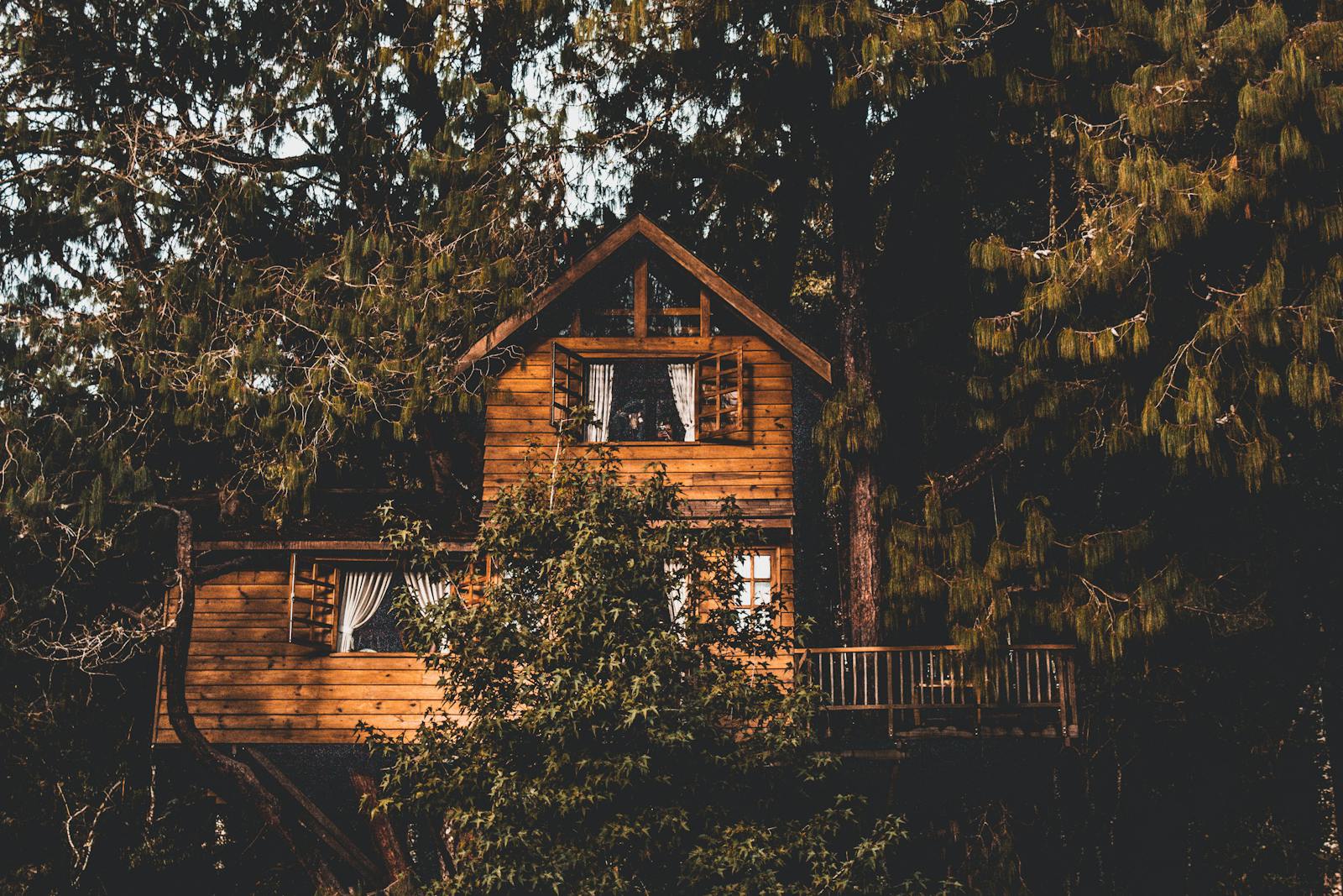 A rustic wooden treehouse set among dense green forest