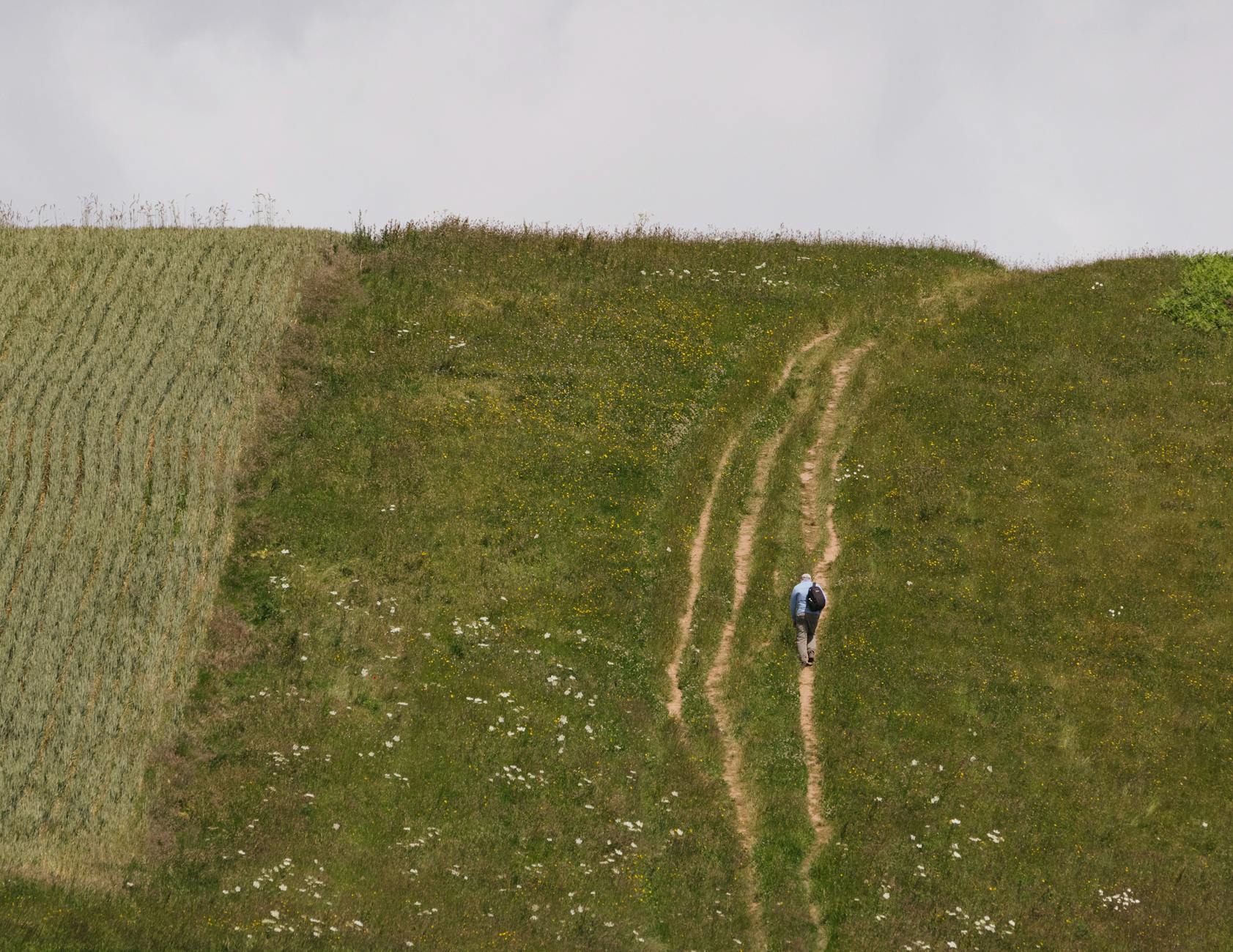 A walker on the rolling hills of the Cotswold Way