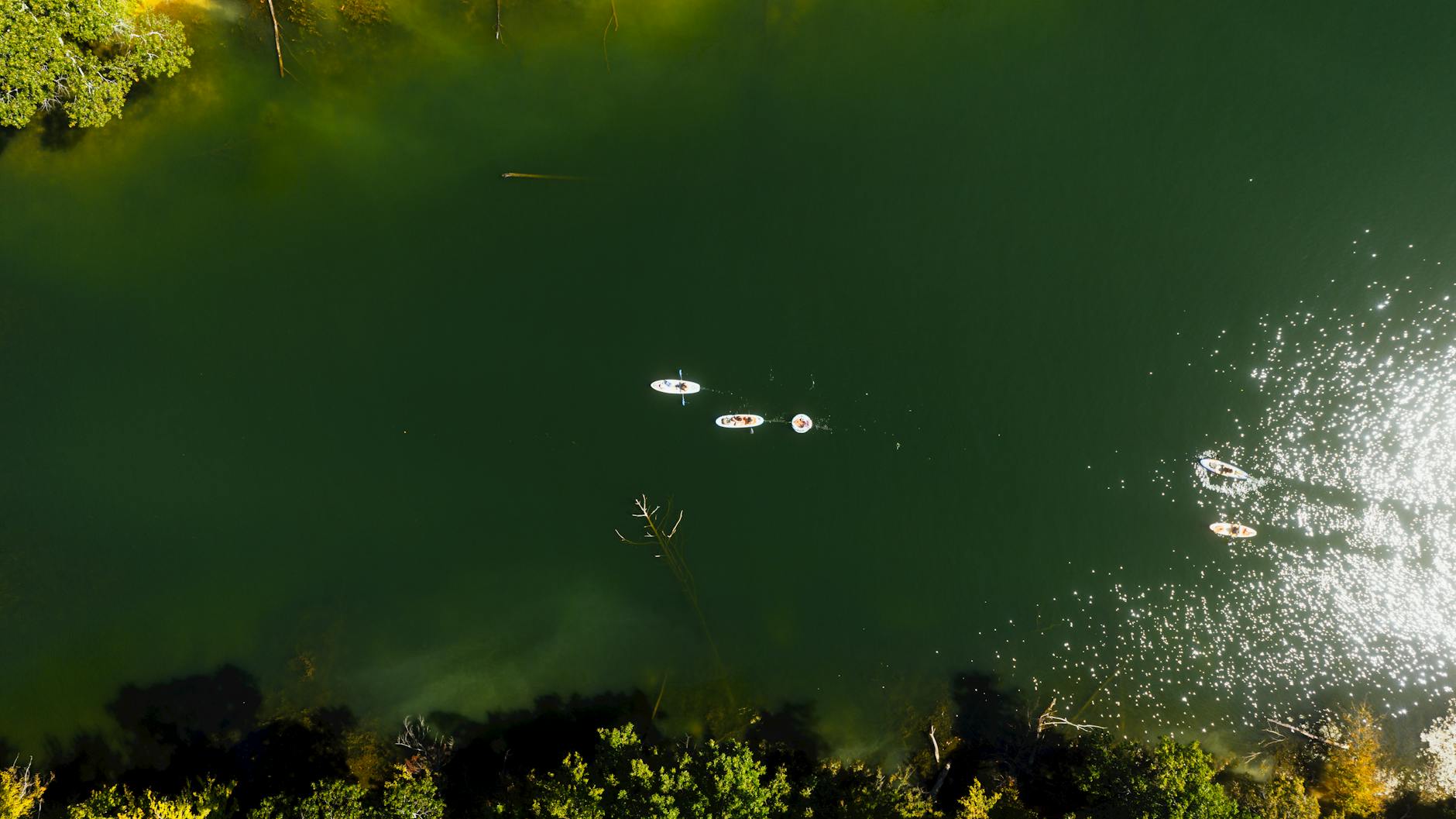 Paddleboarders gliding across a calm sunlit lake at the Cotswold Water Park