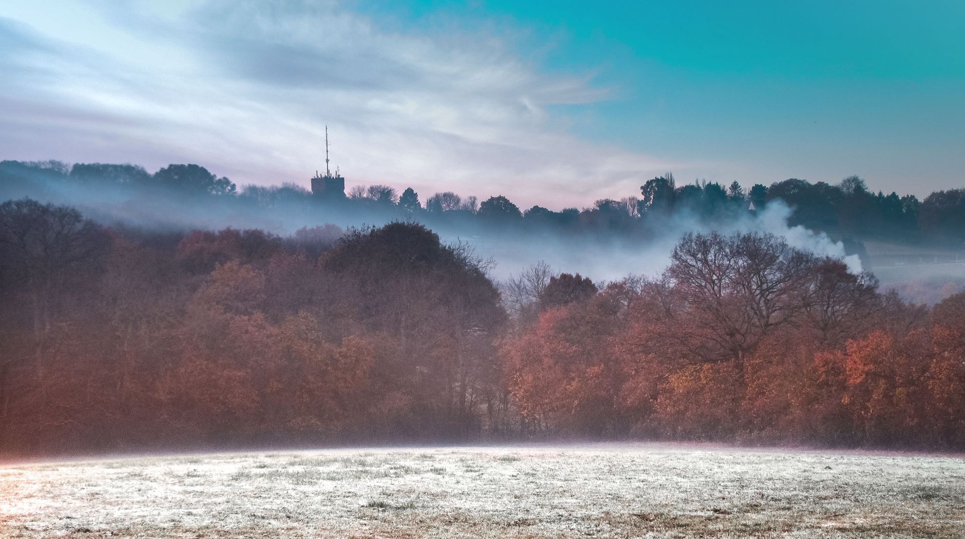 Misty English countryside in autumn with golden trees