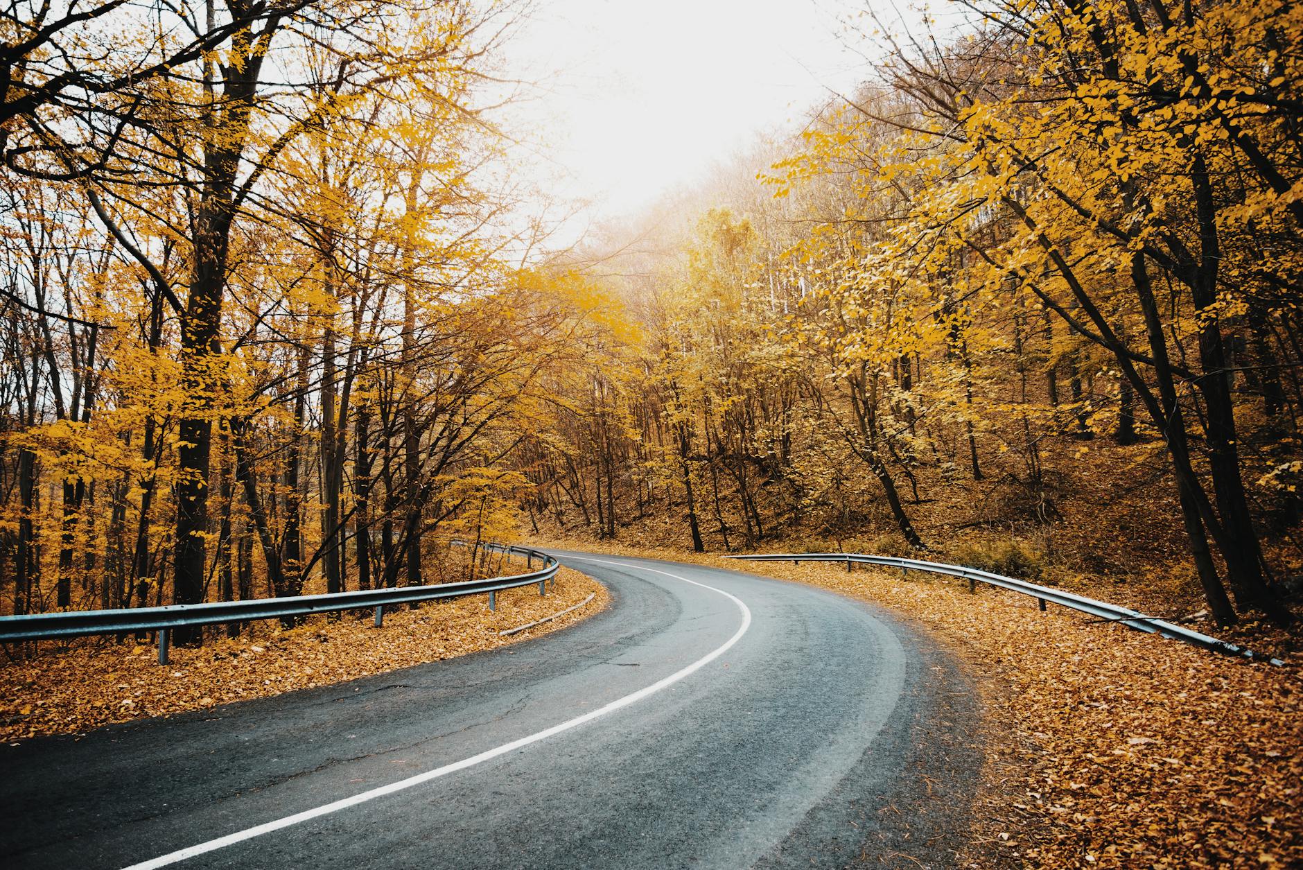 A winding Cotswold road through vibrant autumn foliage