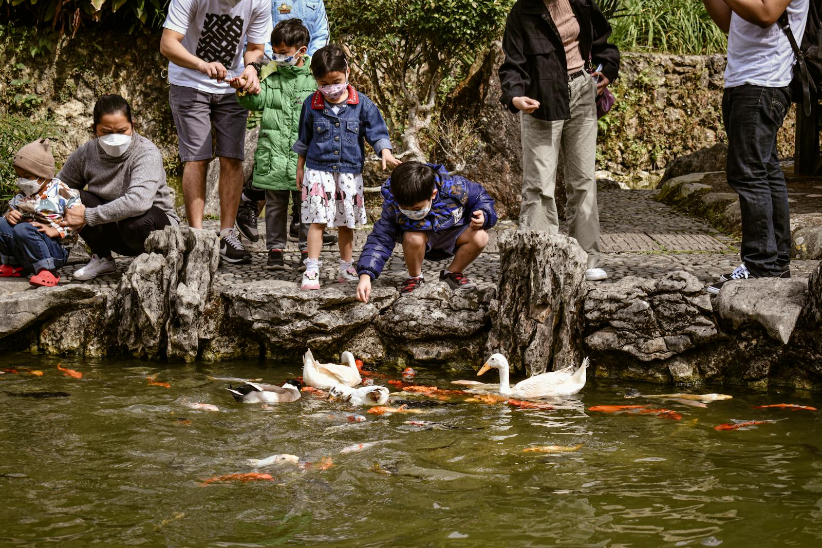 A family enjoying watching ducks at a scenic pond