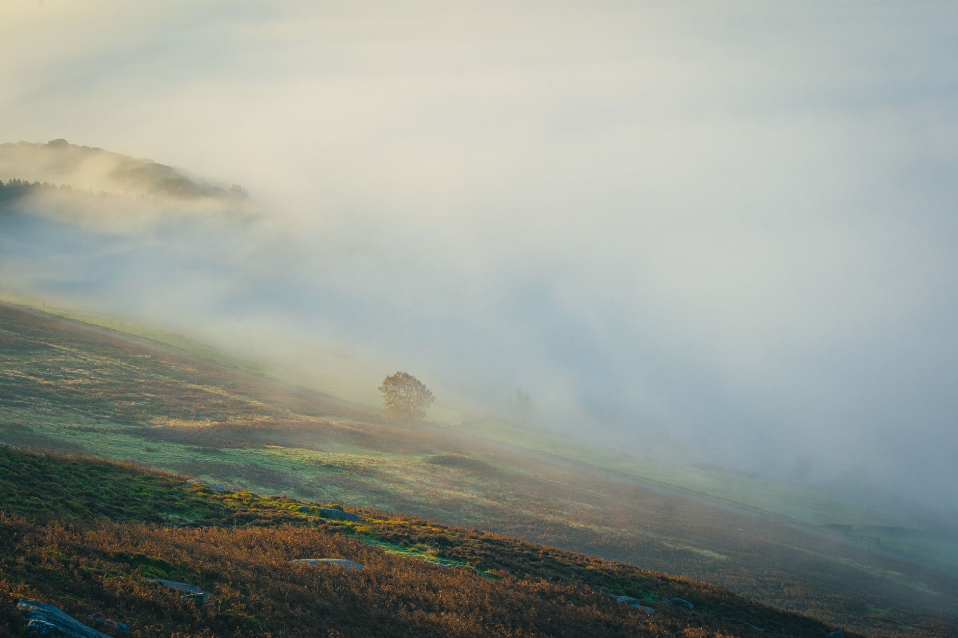 Mist over the rolling hills of the Cotswolds at dawn