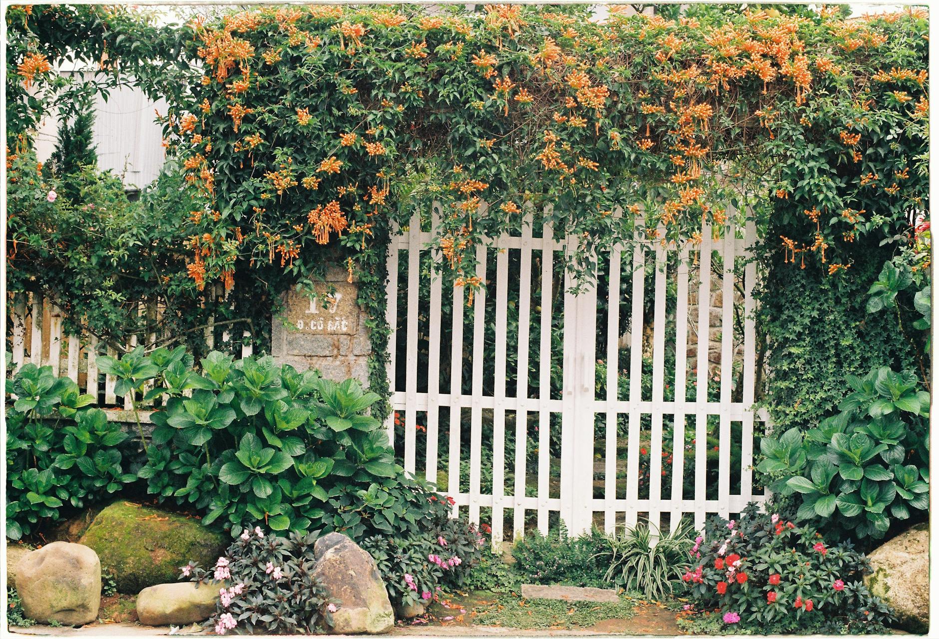 A white garden gate surrounded by colourful flowers in an English country garden