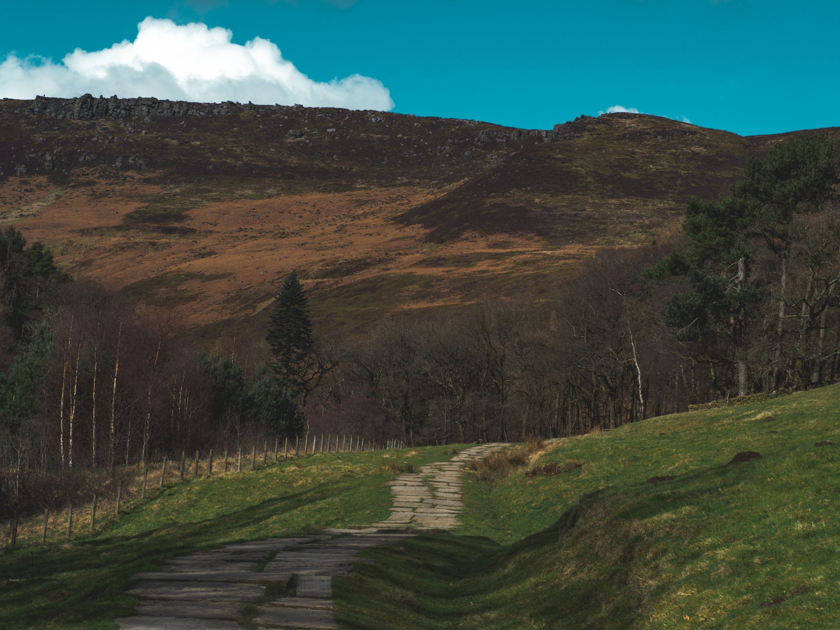 Stone footpath leading through green fields in the English countryside