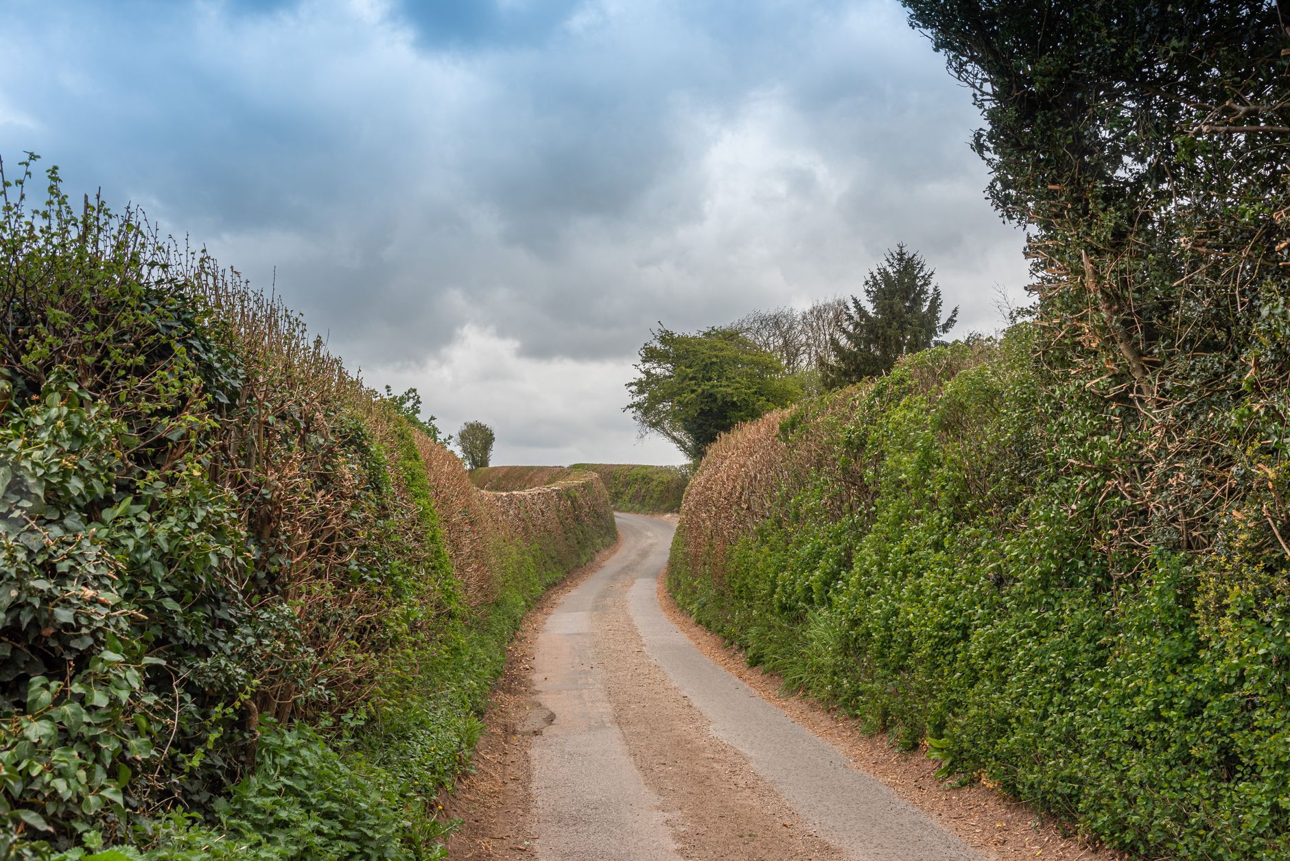 A narrow country lane bordered by hedges and dry stone walls in the Cotswolds