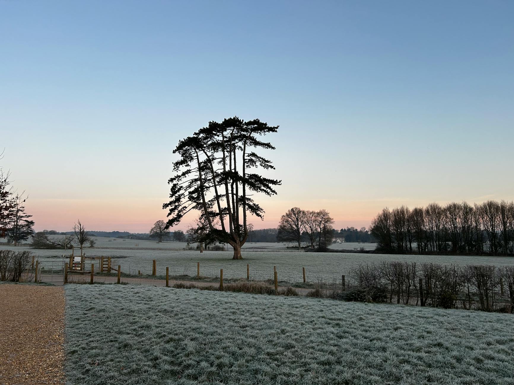 A frost-covered Cotswold field at sunrise with a lone tree on a cold winter morning