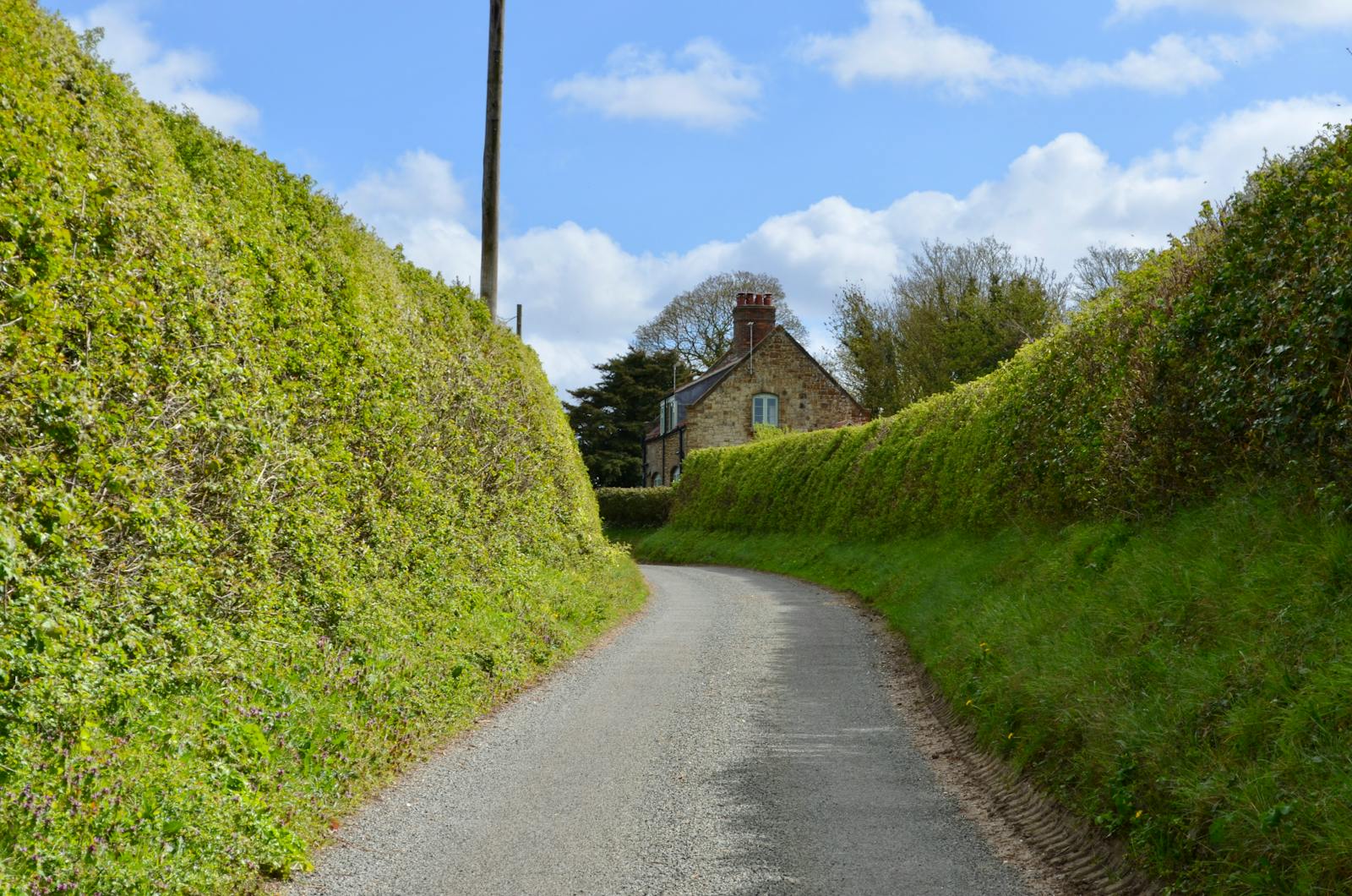 A narrow rural lane lined with lush hedges leading to a stone cottage