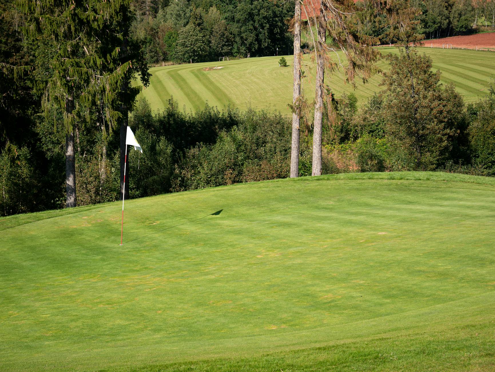 A vibrant green golf putting green with a flagstick on a sunny day