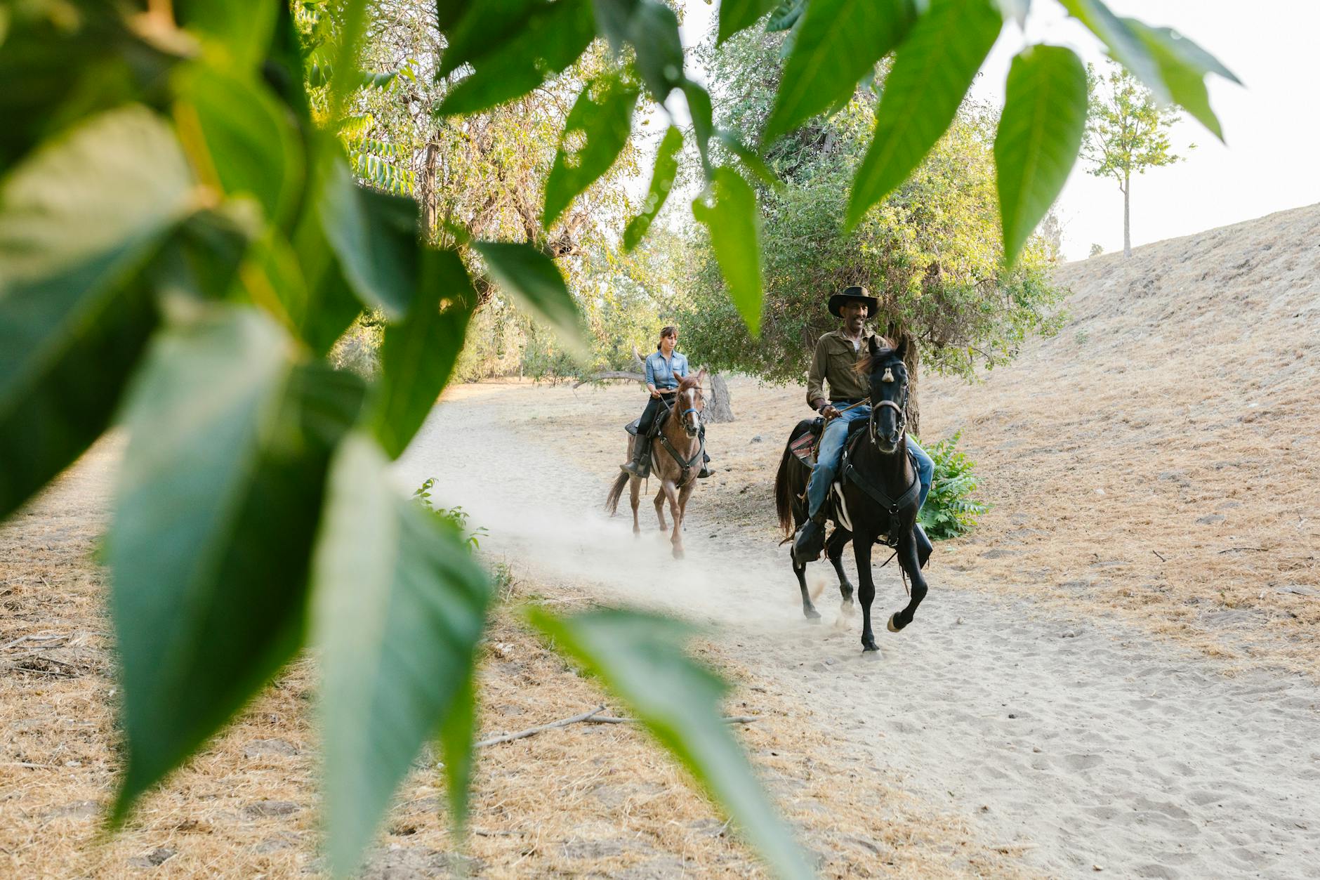 Two riders on horseback on a tree-lined trail through green Cotswolds countryside