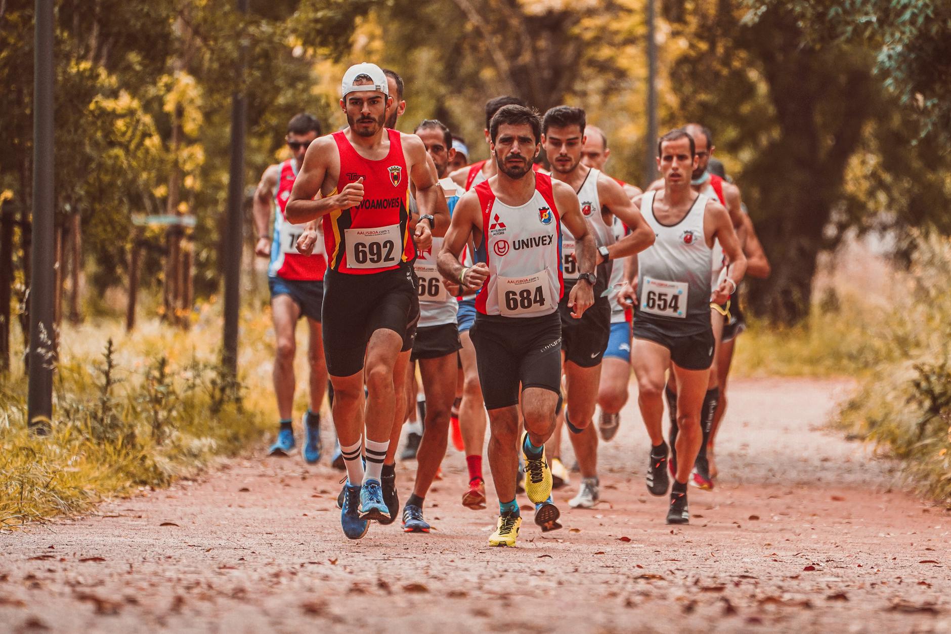 A group of runners competing in an outdoor trail race