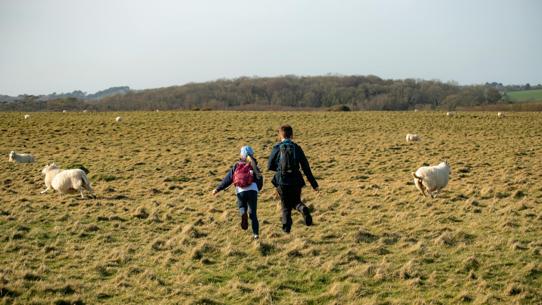 Walkers crossing the open commons of the southern Cotswolds