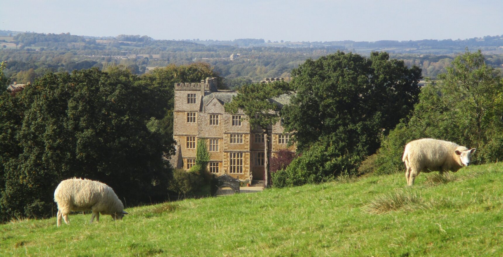 Chastleton House, a tall Jacobean stone manor among trees, seen from a hillside pasture with two sheep grazing in the foreground