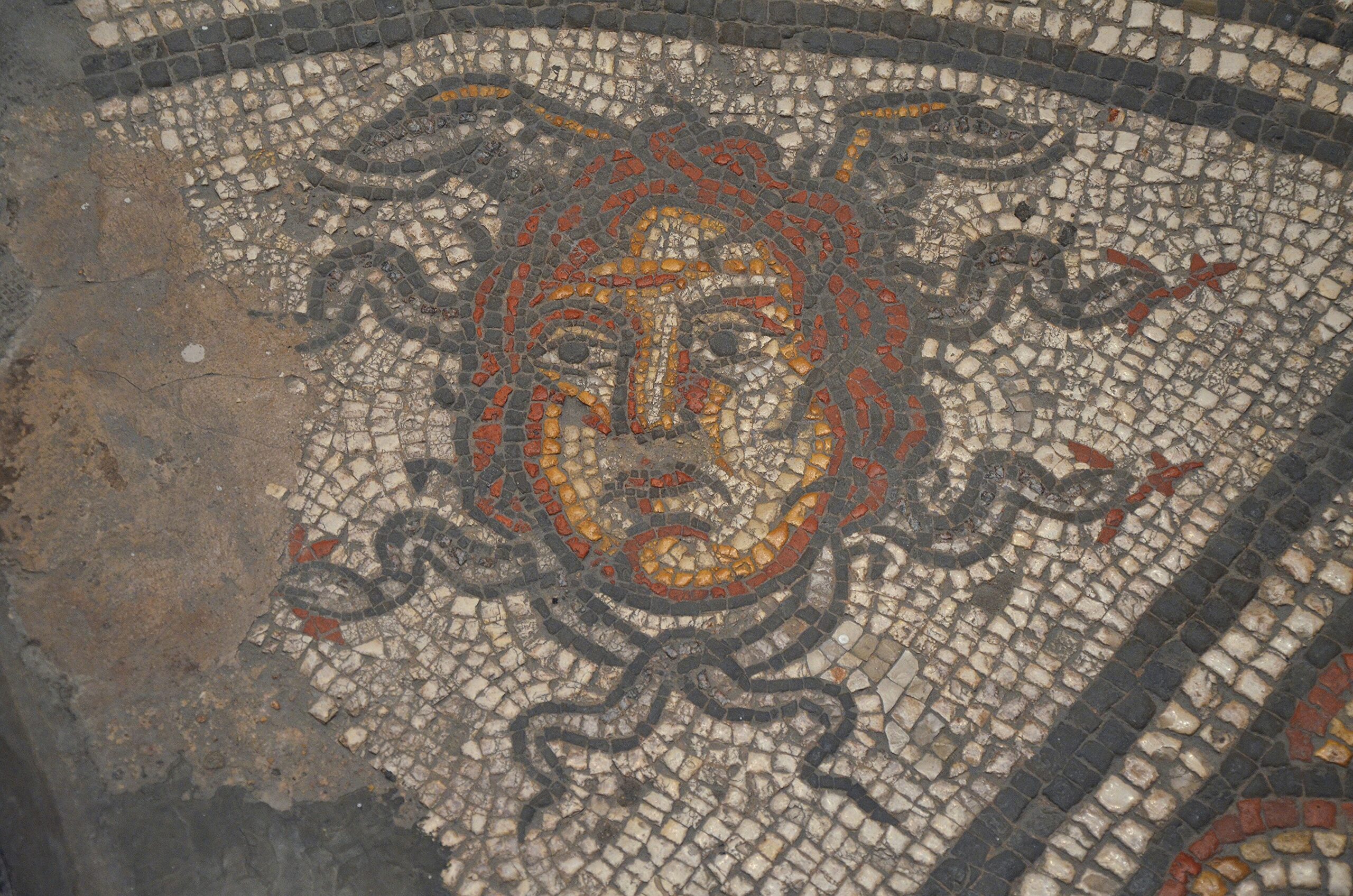 A Roman mosaic head with tendrils of hair from the Hunting Dogs mosaic at the Corinium Museum, Cirencester