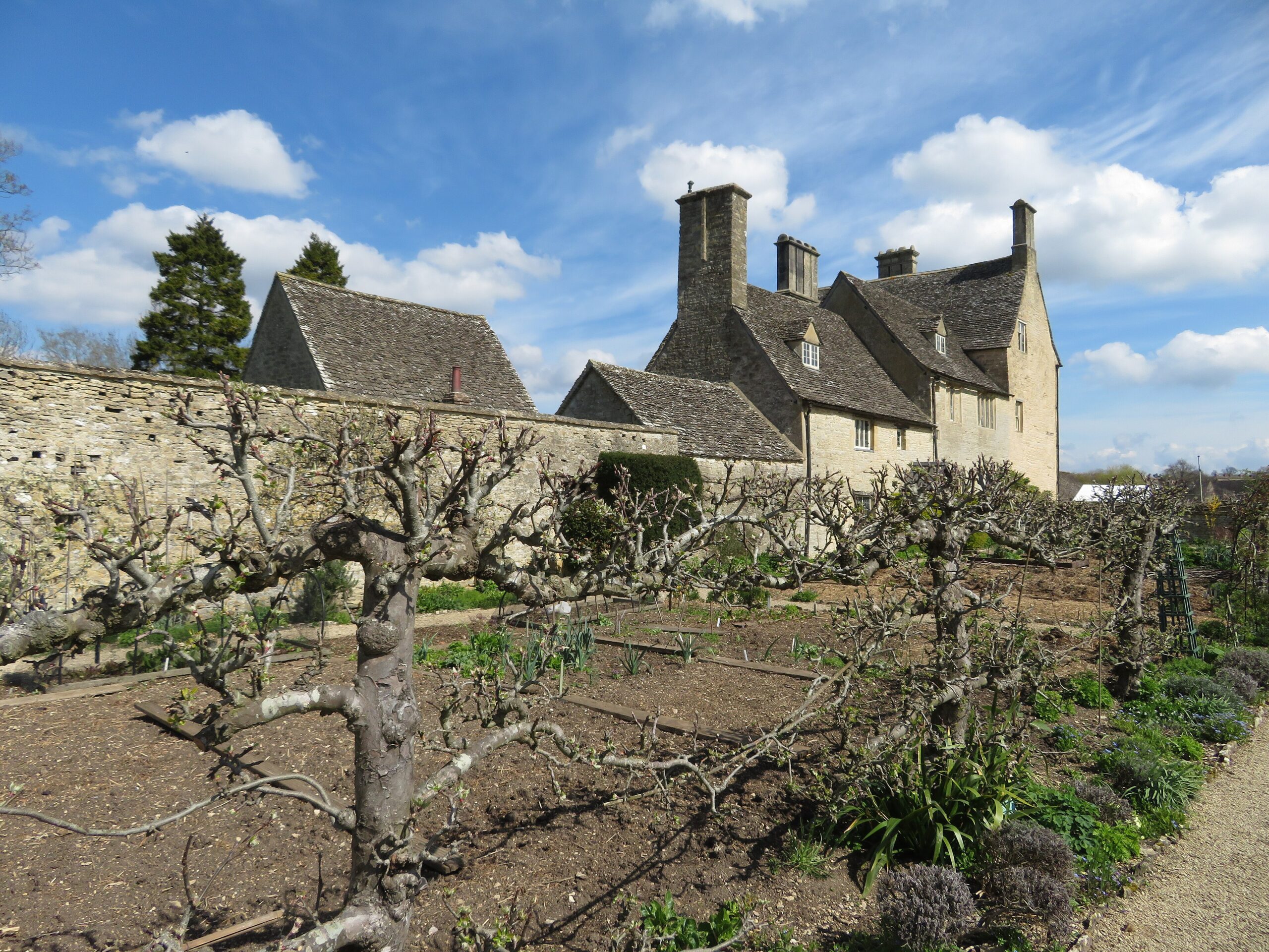 The stone manor house at Cogges Manor Farm in Witney, with tall chimneys and stone-tiled roofs, seen across the walled kitchen garden and its espaliered fruit trees in spring