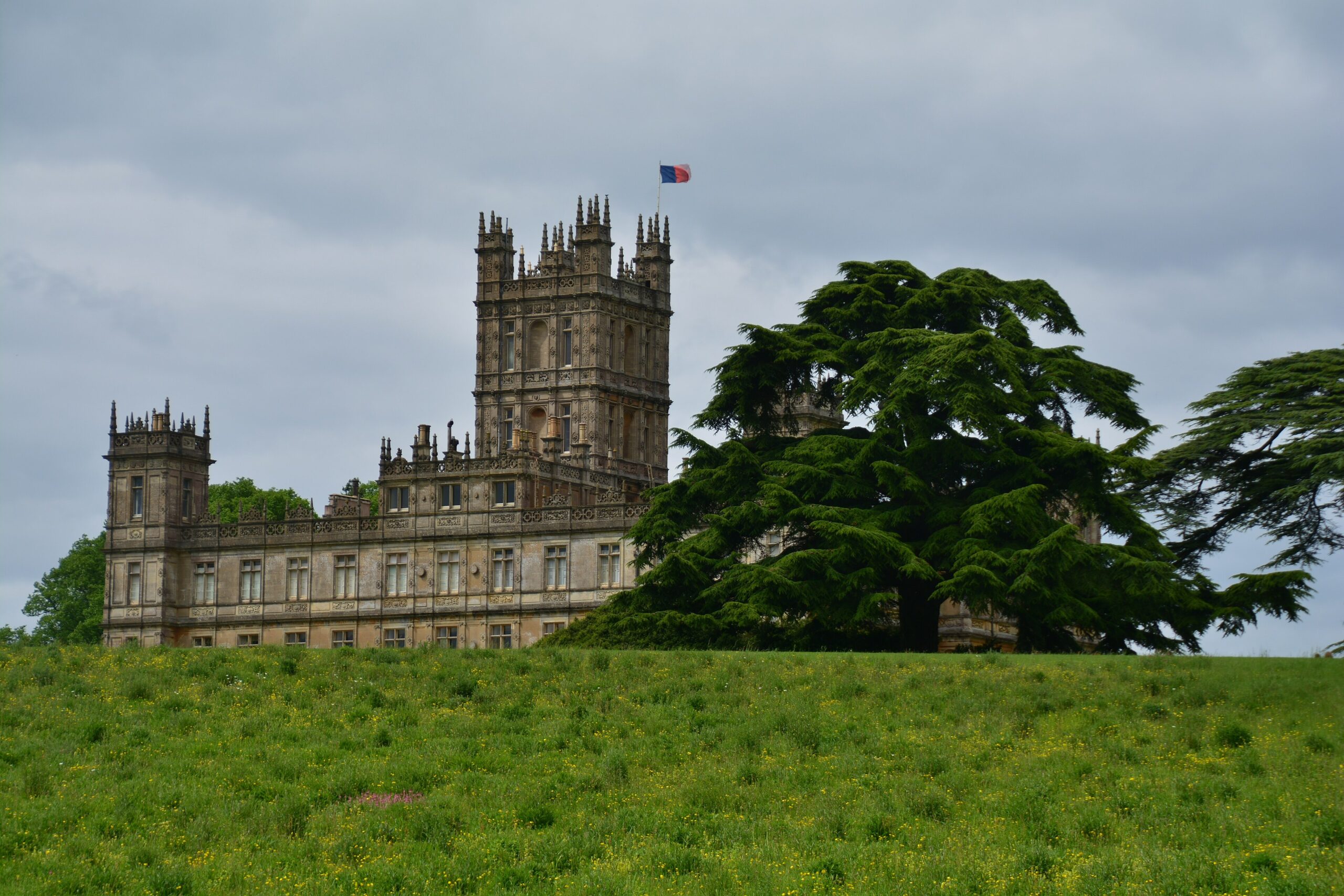 Highclere Castle's ornate pinnacled towers rising above a meadow of buttercups, with a huge spreading cedar tree beside the house under a grey sky