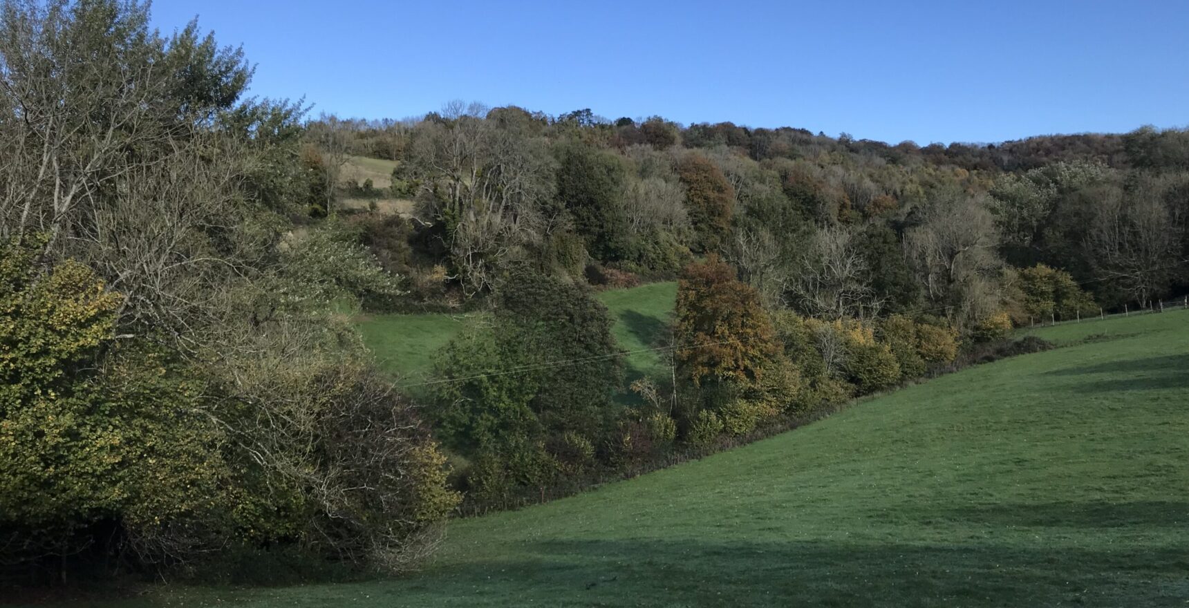 The wooded slopes of the Slad Valley near Stroud in autumn under a clear blue sky