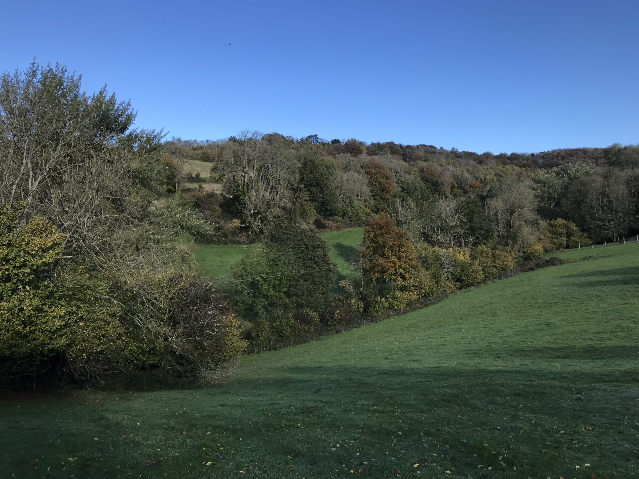 The wooded slopes of the Slad Valley near Stroud in autumn under a clear blue sky