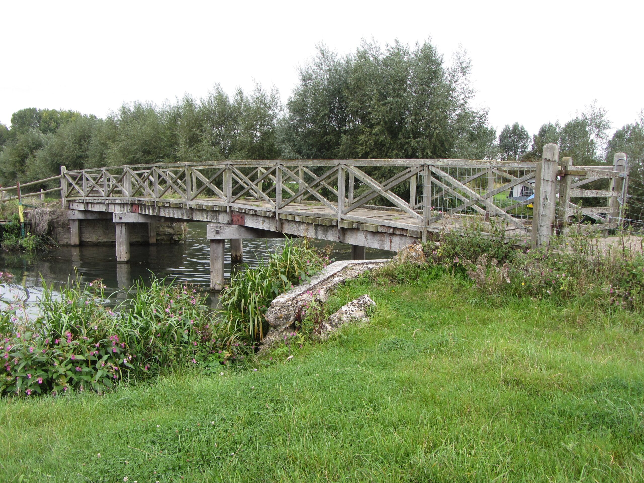 A wooden footbridge with criss-cross railings spanning the River Thames near Radcot, with willows behind and pink Himalayan balsam and long grass on the near bank