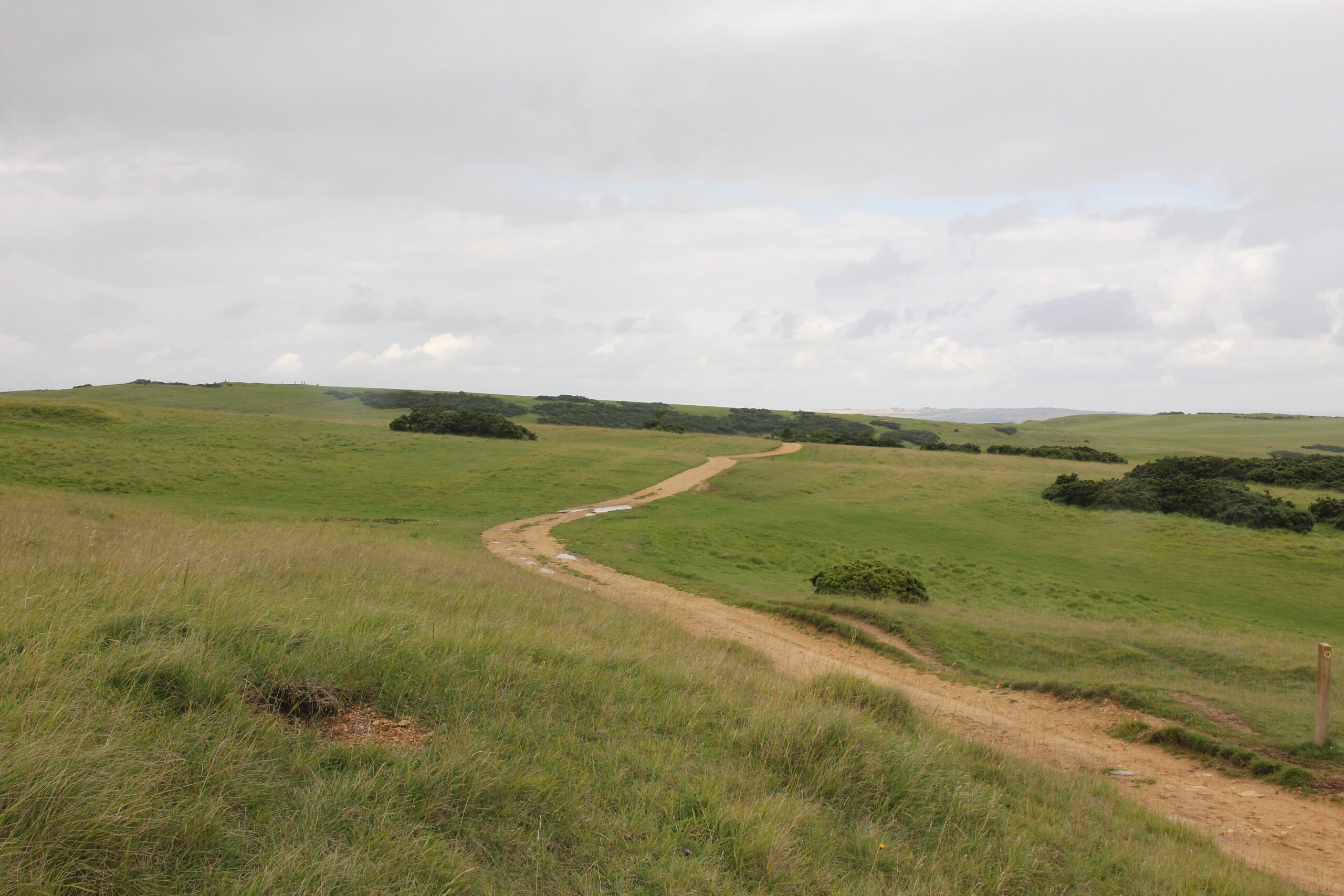 A sandy track winding across the open grassland of Cleeve Common under a grey sky, with patches of scrub and distant hills