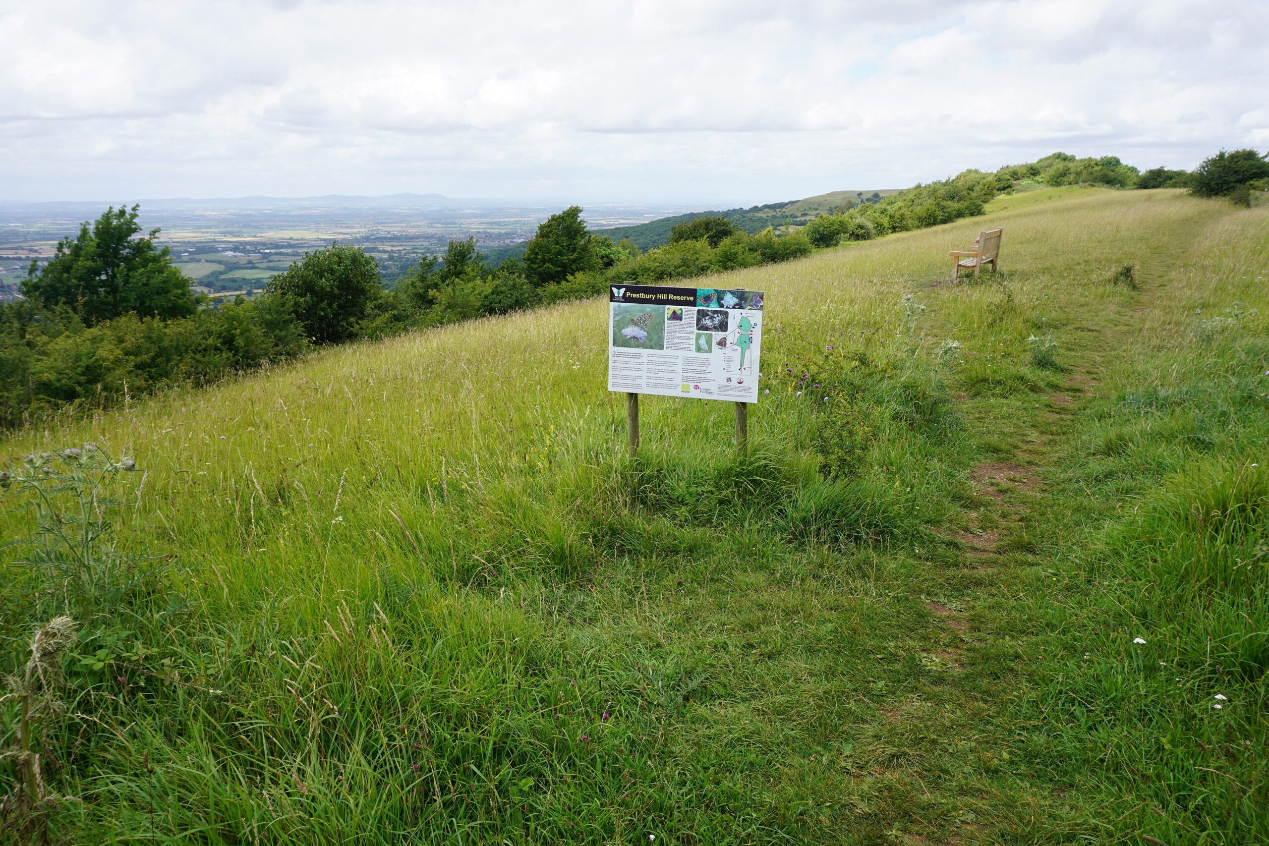 A grassy path and information board on the flowery slopes of Prestbury Hill nature reserve, with a bench and wide views over the vale