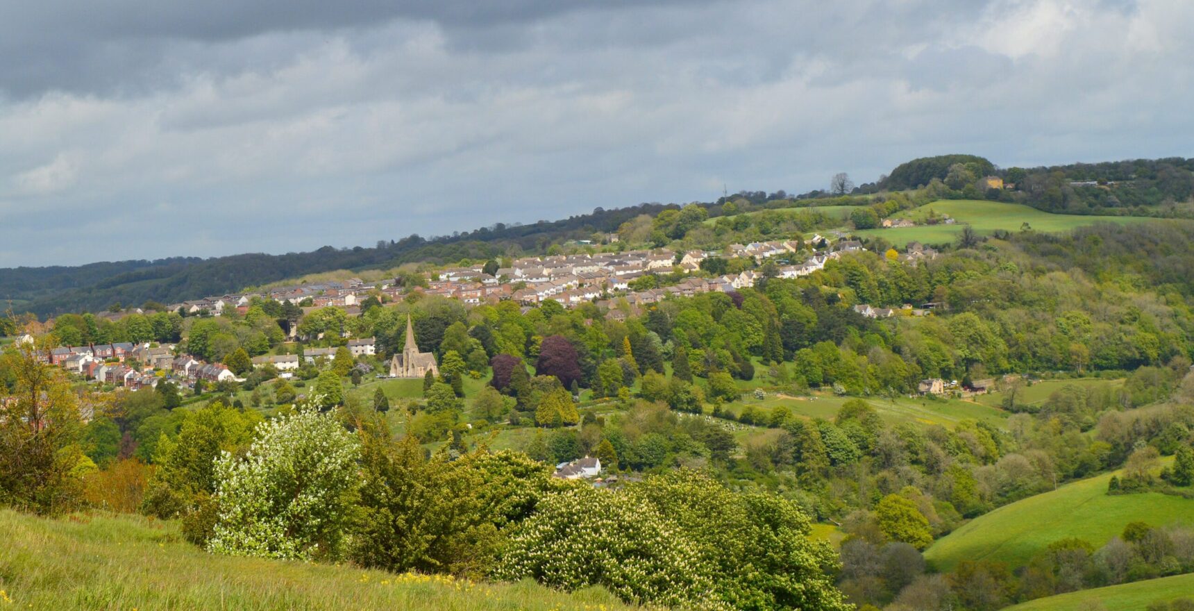Hawthorn scrub and grassland on Rodborough Common looking across a wooded valley to a hillside town with a church spire