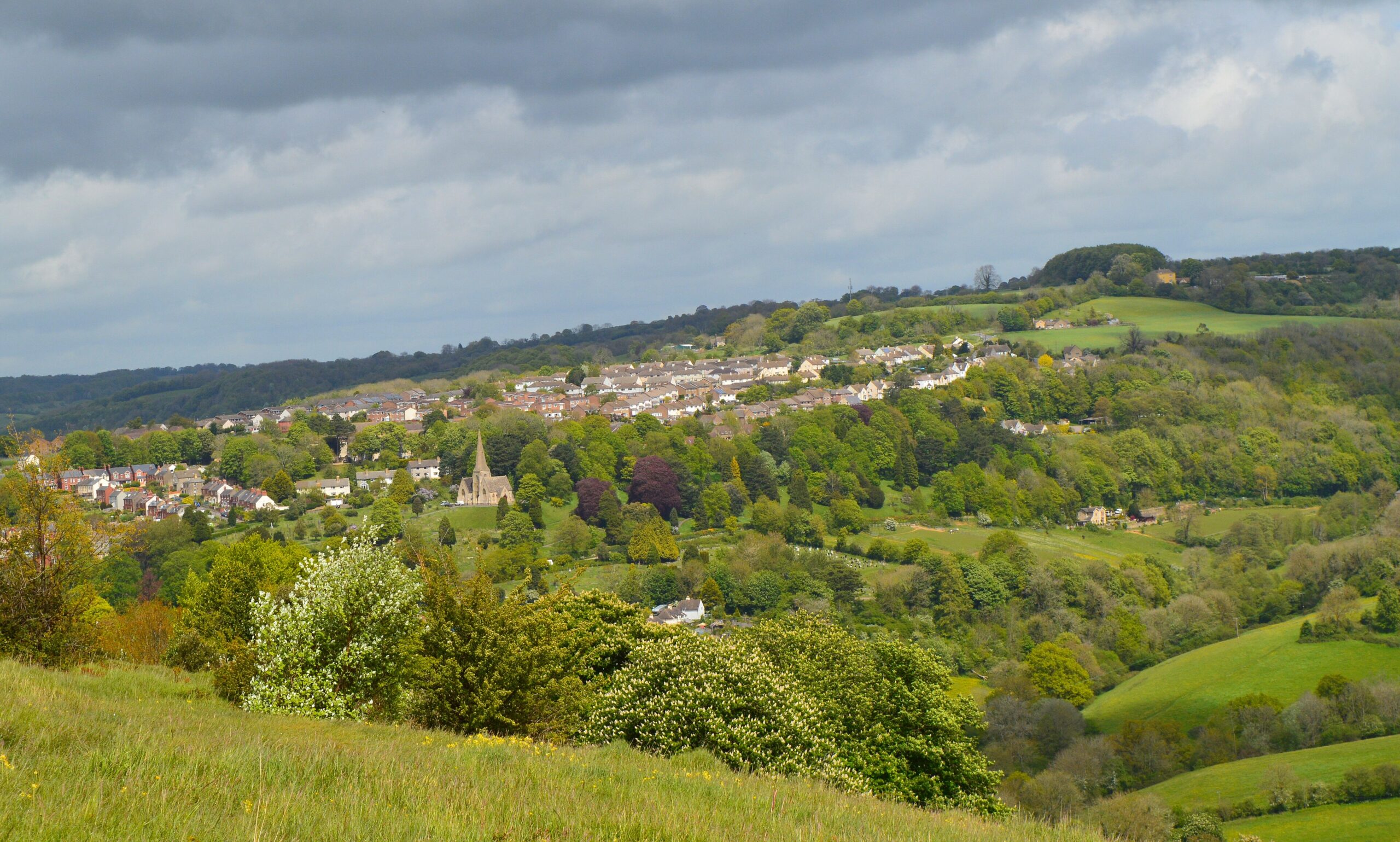 Hawthorn scrub and grassland on Rodborough Common looking across a wooded valley to a hillside town with a church spire