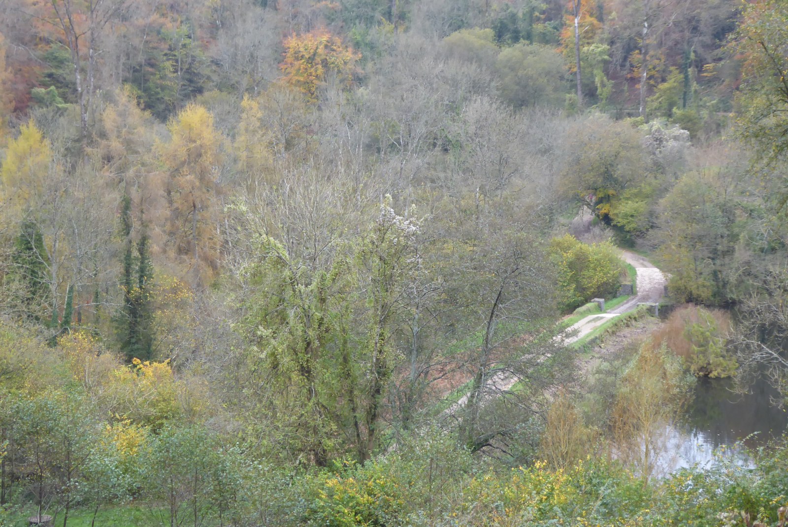 Looking down on a wooded valley in autumn colour at Woodchester Park, with a lake and a path along the dam